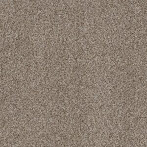 TRUSPIRIT II by Shaw Floors - Timeless Tan