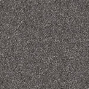 YES YOU CAN III 12' by Shaw Floors - Shadow