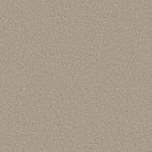 YOU GOT THIS I by Shaw Floors - Subtle Clay