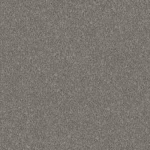 YES YOU CAN I 12' by Shaw Floors - Vintage
