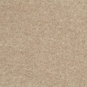 ROYAL PORTRUSH I 12' by Shaw Floors - Flax Seed