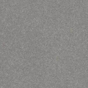 SOLIDIFY III 12' by Shaw Floors - Dusty Trail