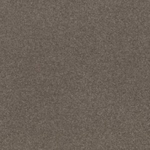 WELL GROUNDED II 15 by Shaw Floors - Pewter