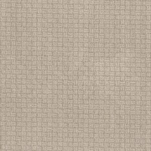 SOOTHING SURROUND by Shaw Floors - Desert View