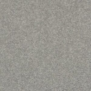 AFTER ALL II by Shaw Floors - Moon Gaze