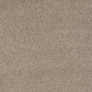 DEL MORRO by Shaw Floors - Agate