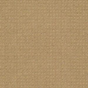 ENDURING COMFORT PATTERN by Shaw Floors - Honey Pot