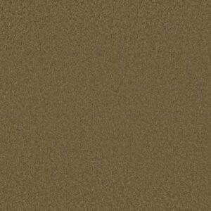 ENDURING COMFORT III by Shaw Floors - Cabin