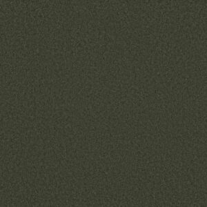 AROUND THE HOUSE III by Shaw Floors - Magic Emerald