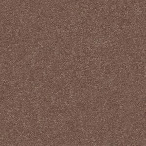 MOMENTUM II by Shaw Floors - Farmhouse