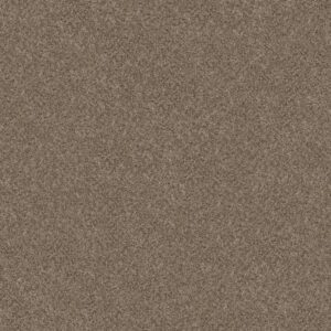 CABANA BAY (B) by Shaw Floors - Brown Reed