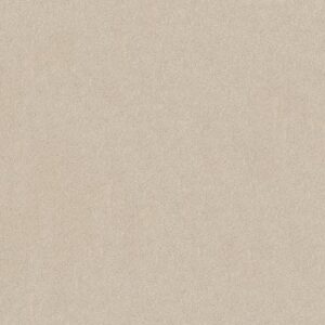 KEEN SENSES II by Shaw Floors - Alabaster