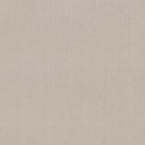 INSIGHTFUL WAY by Shaw Floors - Alabaster