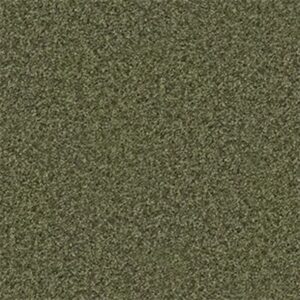 DREAMIN' 12' by Shaw Floors - Central Park