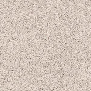 LONESTAR by Shaw Floors - Worldly