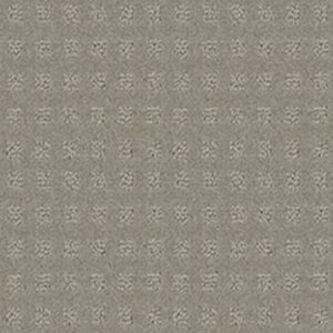 NOTTINGHAM by Shaw Floors - Platinum Mist**
