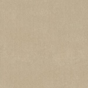 BASIC RULES by Shaw Floors - Eggshell