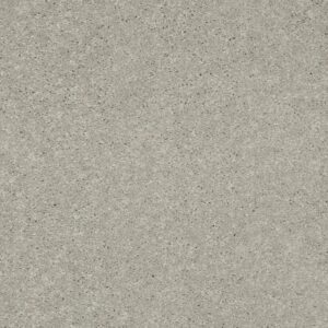 TURN THE PAGE II 12' by Shaw Floors - Dove Tail
