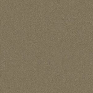 MAGIC AT LAST IV 15' by Shaw Floors - Leapfrog