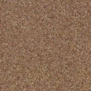 VICTORY by Shaw Floors - Bannister
