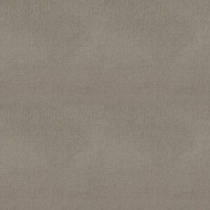 ONE MORE HOUR by Shaw Floors - Serene