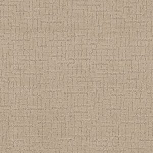 ONE MORE HOUR by Shaw Floors - Silk