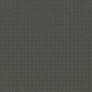 TOWN SQUARE by Shaw Floors - Pewter