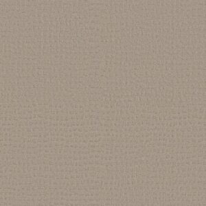 SOLSTICE by Shaw Floors - Bit Of Gray