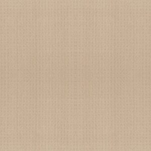 TOWN SQUARE by Shaw Floors - Cornflower