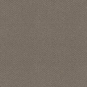 DEL VISTA by Shaw Floors - Riverbank