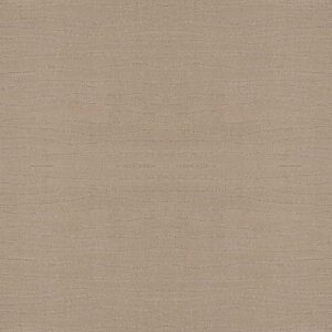 CAPISTRANO by Shaw Floors - Dune