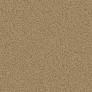 COLOR ACCENTS BL by Philadelphia Commercial - Flax