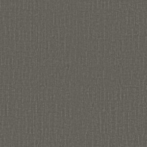 ENDLESS MEMORIES by Shaw Floors - French Market