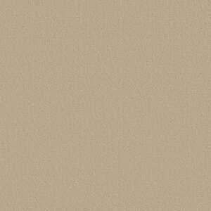 CANVAS COMFORT BLUE by Shaw Floors - Sun Kissed
