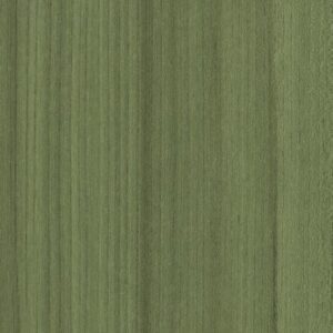 Color Range 5 by Shaw Floors - Cactus