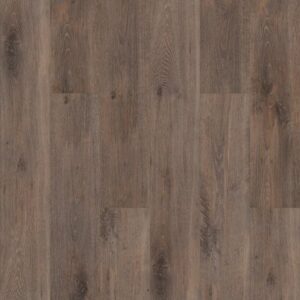 Allegiance + Acc by Shaw Floors - Chapman