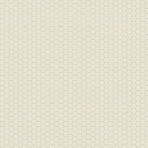 Unglazed Mosaics by American Olean - Biscuit