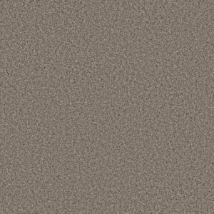 TWEED COMFORT II by Shaw Floors - Wake Up Call