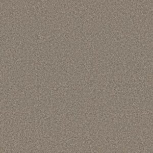 TWEED COMFORT II by Shaw Floors - Stroke Of Luck