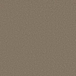 WAY TO GO II by Shaw Floors - Chic Taupe
