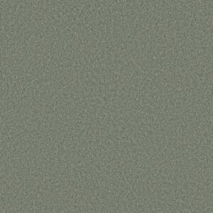 TONAL COMFORT I by Shaw Floors - Meadow