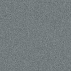 TONAL COMFORT I by Shaw Floors - Ice Fishing