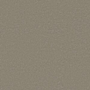 WAY TO GO III by Shaw Floors - Mossy Oak
