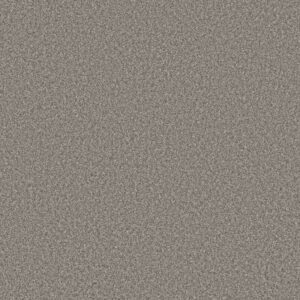TWEED COMFORT I by Shaw Floors - Sing Along