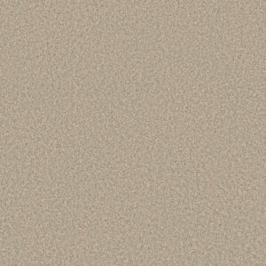 TWEED COMFORT I by Shaw Floors - Vacay