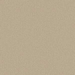 WAY TO GO I by Shaw Floors - Warm Breeze