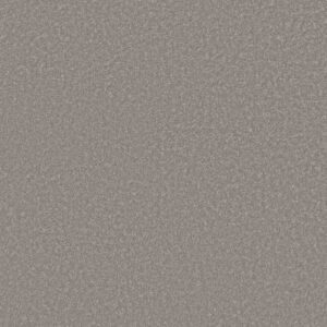 WAY TO GO I by Shaw Floors - Chicago Fog