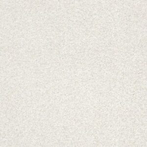 TONAL COMFORT BLUE by Shaw Floors - Neighborhood Bistro