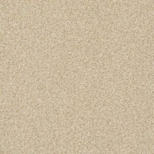 TONAL COMFORT BLUE by Shaw Floors - Sun Kissed