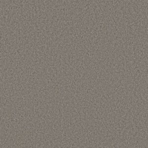 TONAL COMFORT BLUE by Shaw Floors - Natural Fit